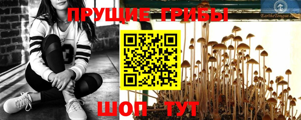 Галлюциногенные грибы ЛСД Грязи